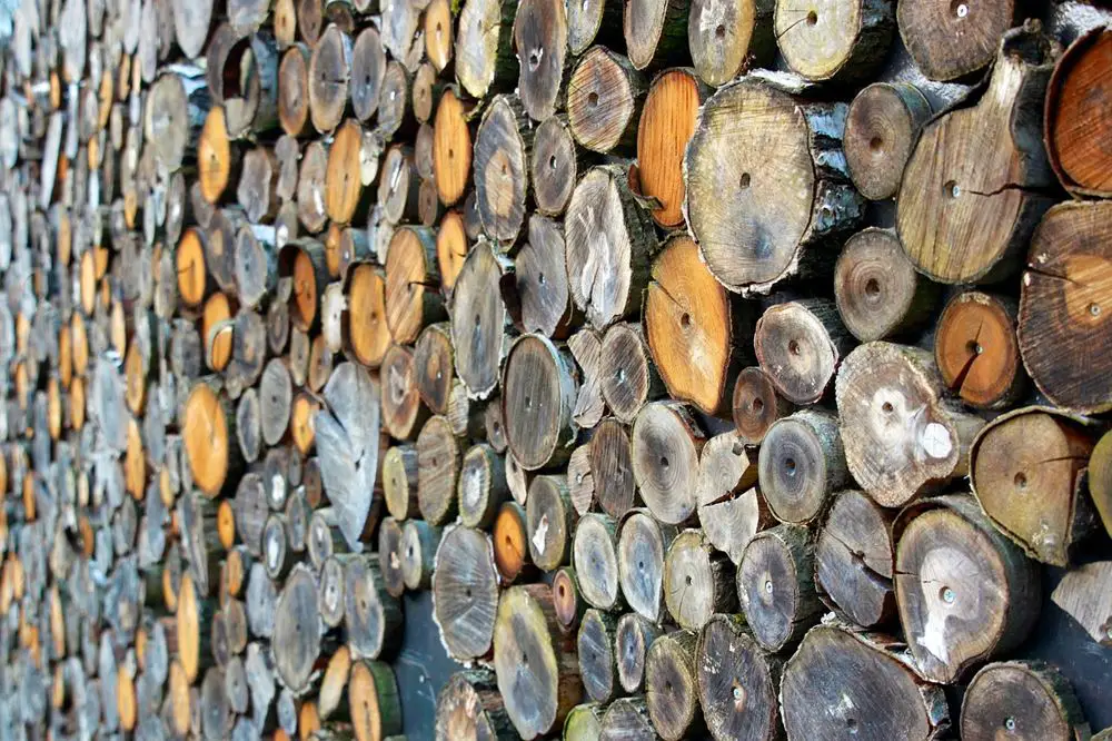 أنواع الخشب